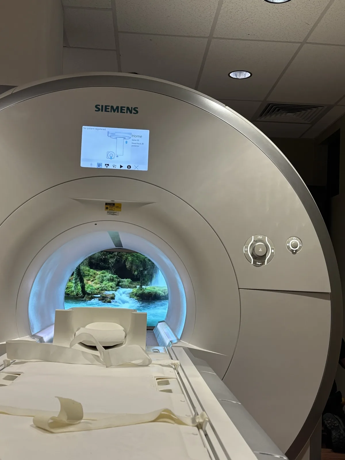 The patient's view through the bore: a forest stream on MRItv